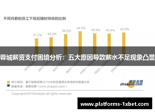 蓉城薪资支付困境分析：五大原因导致薪水不足现象凸显