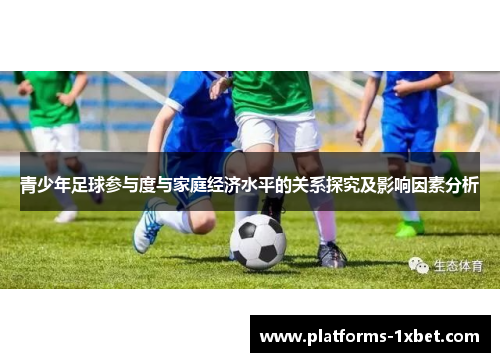 青少年足球参与度与家庭经济水平的关系探究及影响因素分析